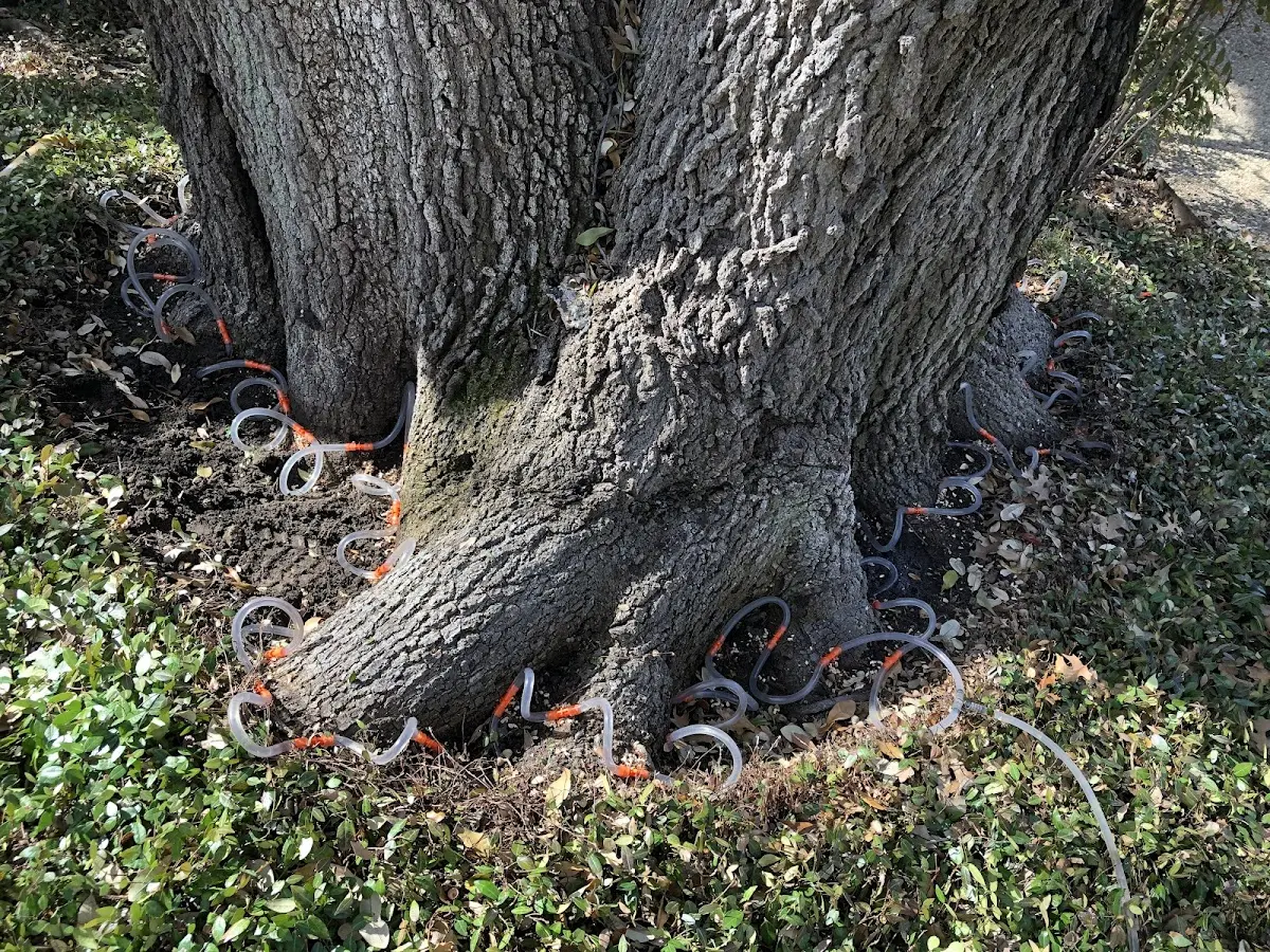 Detailed Shrub and Hedge Trimming job site in Oconee